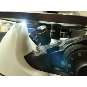 Thermo Fisher Invitrogen EVOS XL Core AMEX1100